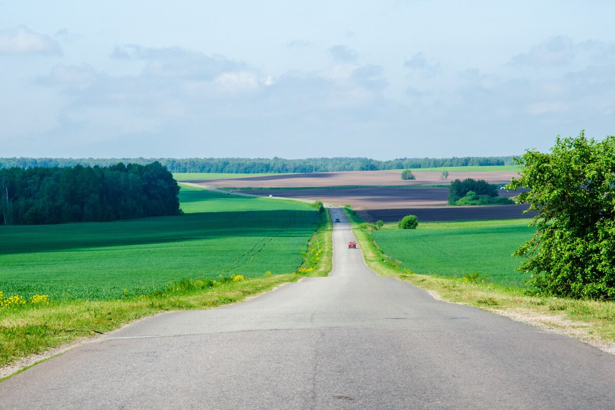 Родные просторы - Галина Ложечникова