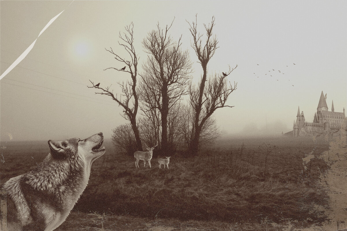 ... - Свечение Язычество