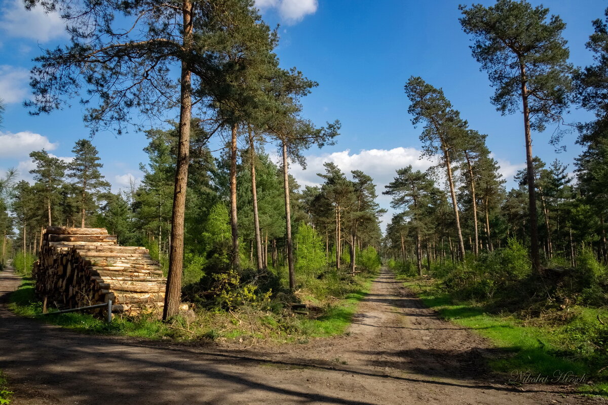 Зачистка... - Николай Гирш Зачистка... - Николай Гирш