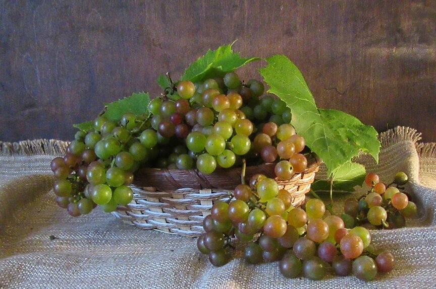 С   виноградом... - Галина Кузьмина
