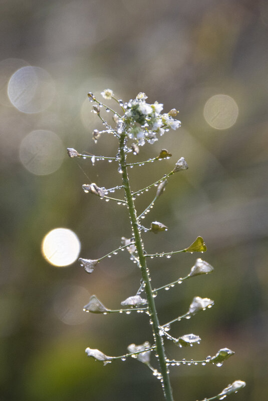 Красота предзимья - Галина Ильясова