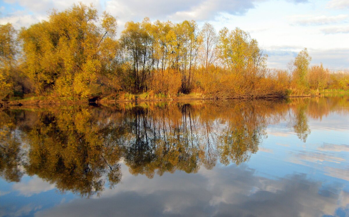 Очарованье русского пейзажа - Galina Solovova
