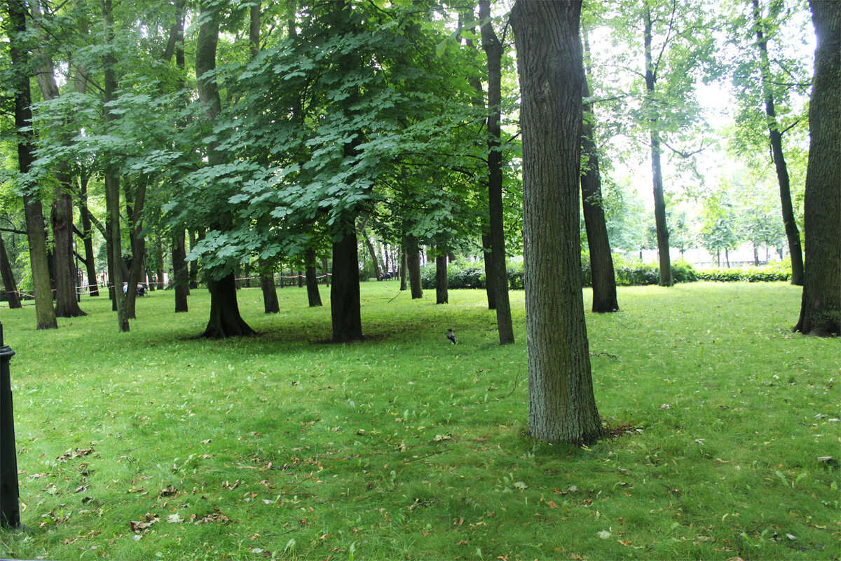 Михайловский сад в Санкт - Петербурге - Любовь ***