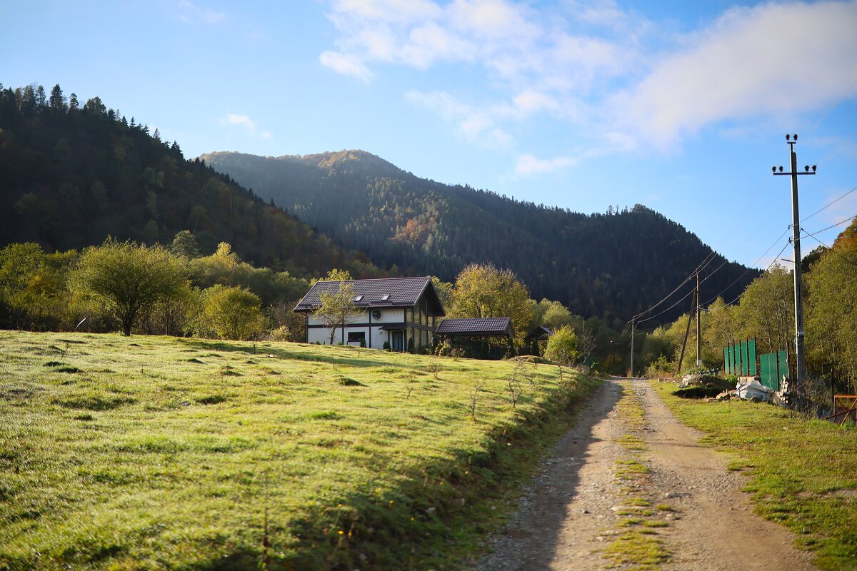 .... - Evgeny Mameev