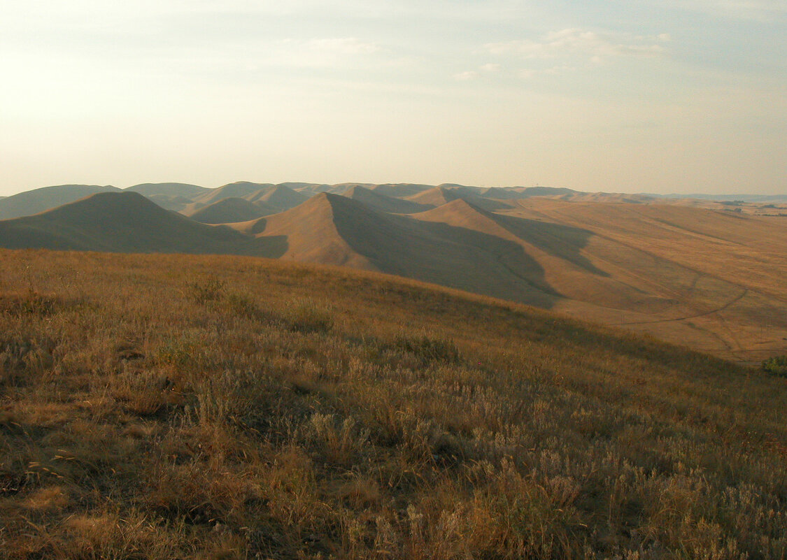 Пейзаж, навевающий грусть... - Наталья Лунева 