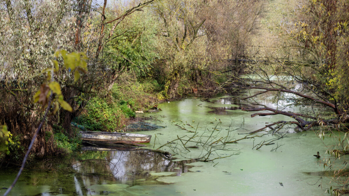 Пруд в Дединово - sorovey Sol