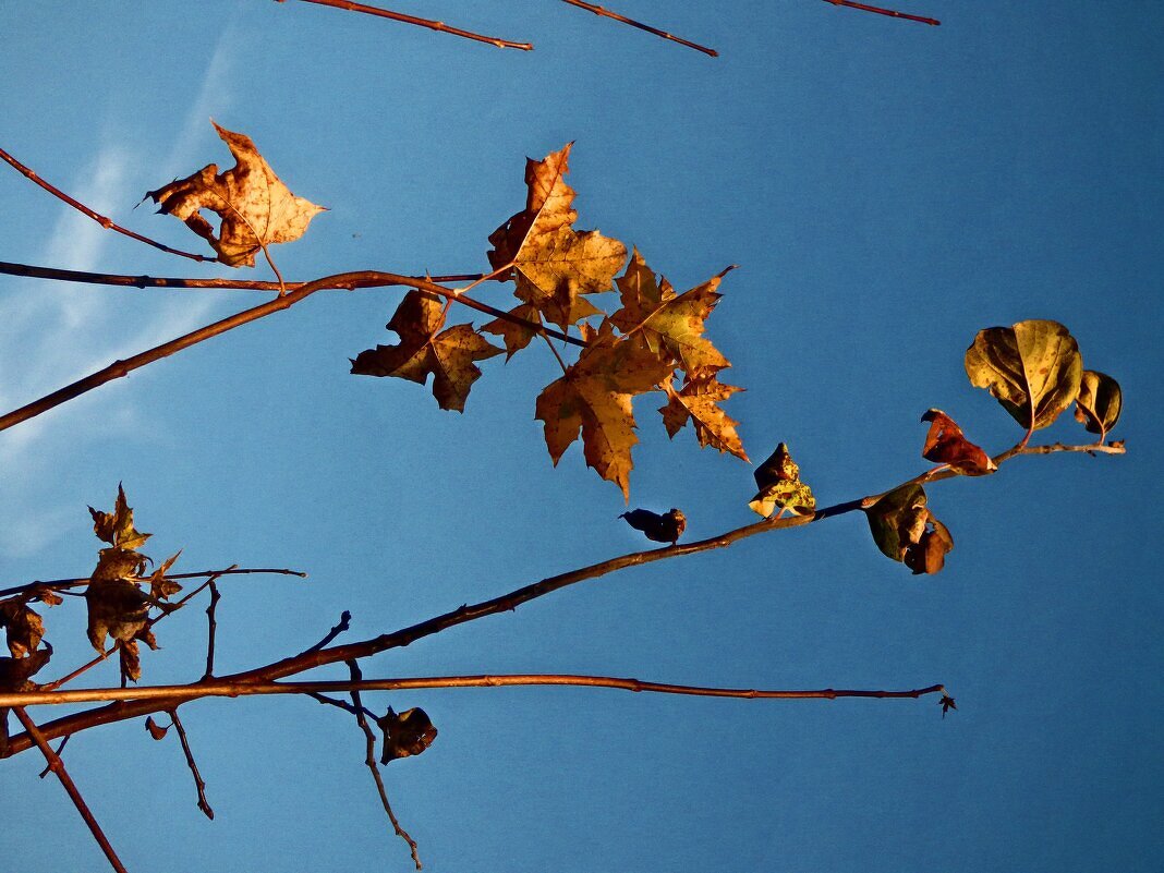 Осень 23 - Алексей Кузнецов