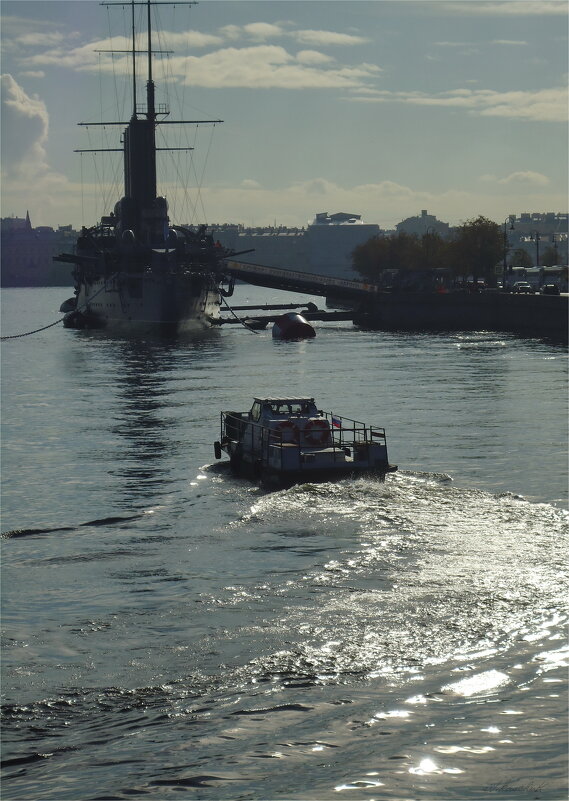 в холодных Невских водах - sv.kaschuk 