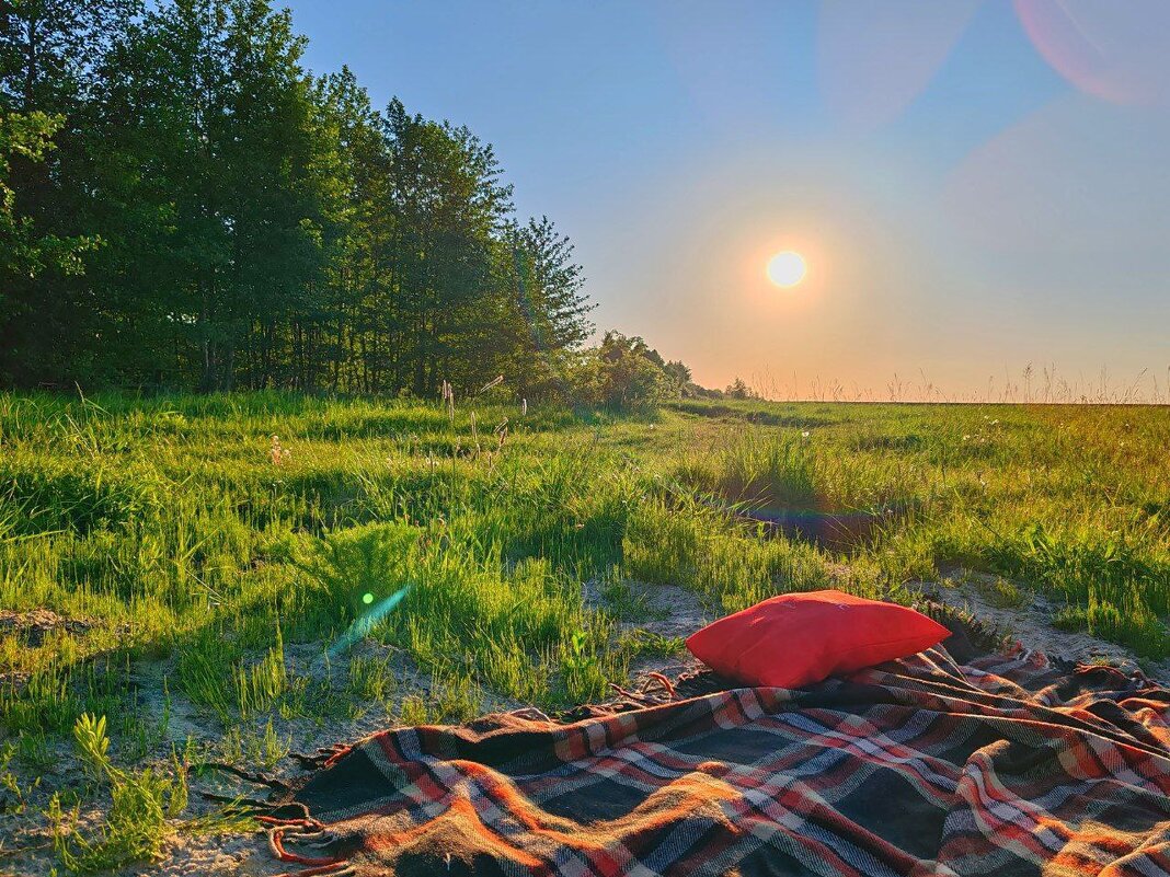 * - Татьяна Венцель