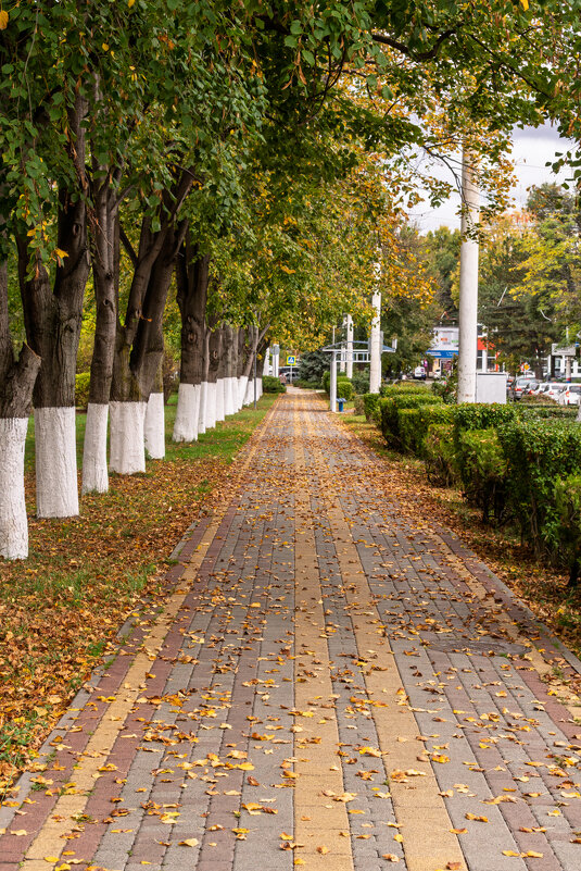 Середина осени - Игорь Сикорский