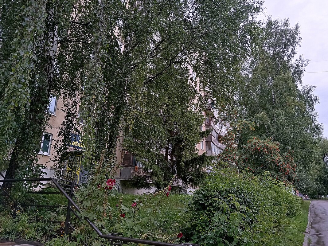 Лето. - Владимир Драгунский