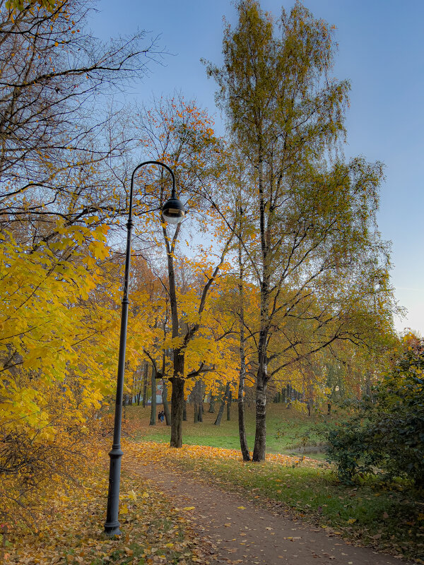 парк Новознаменка - Алексей Чуркин