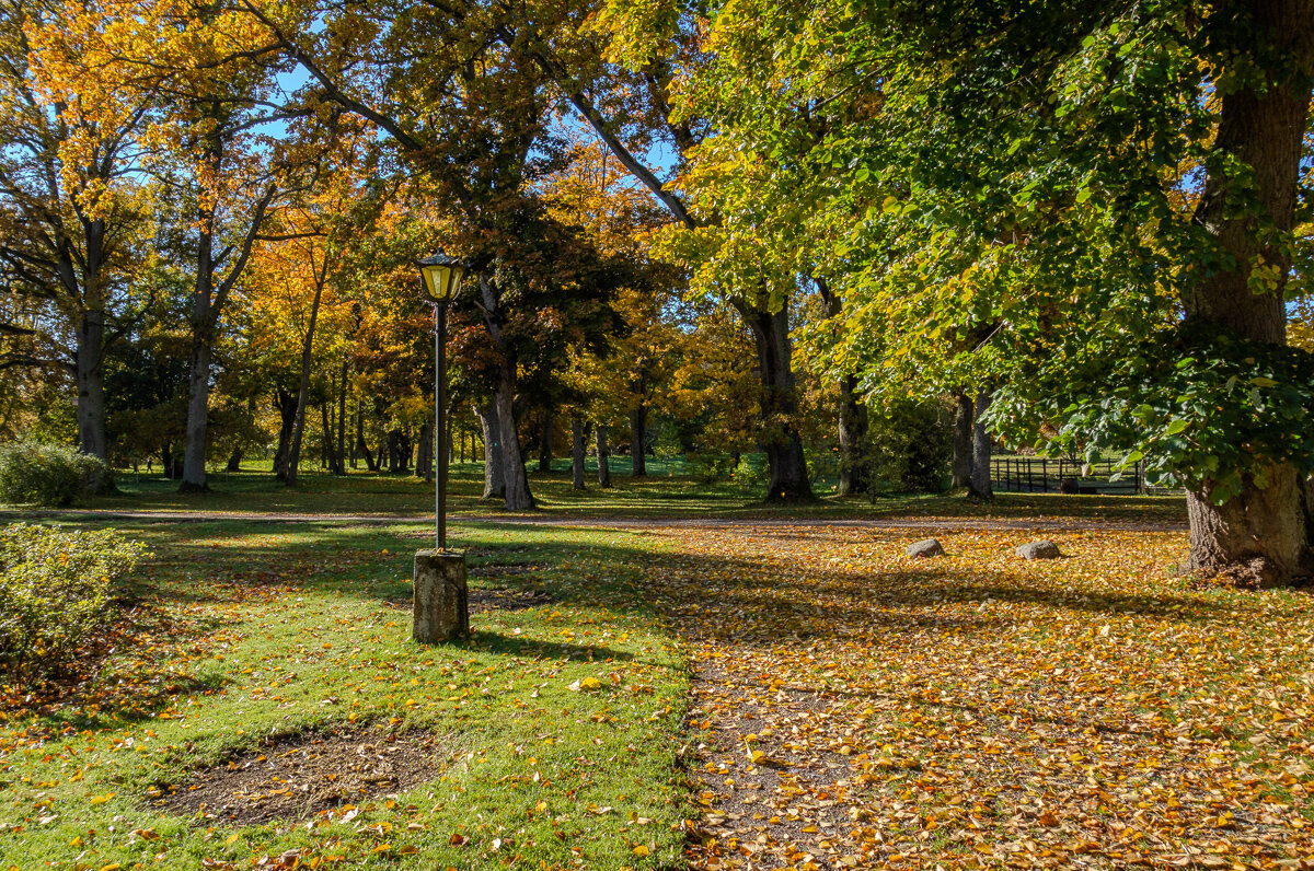 *** - Геннадий Порохов