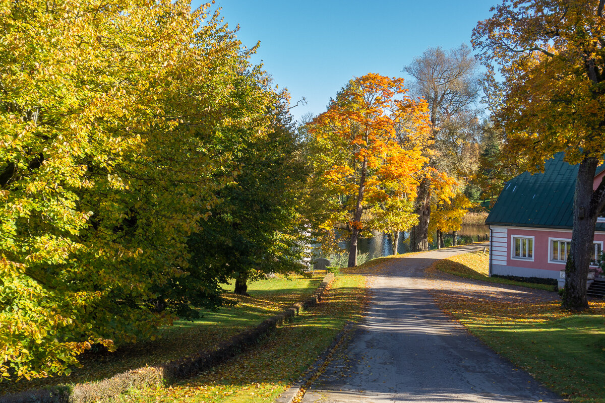 *** - Геннадий Порохов