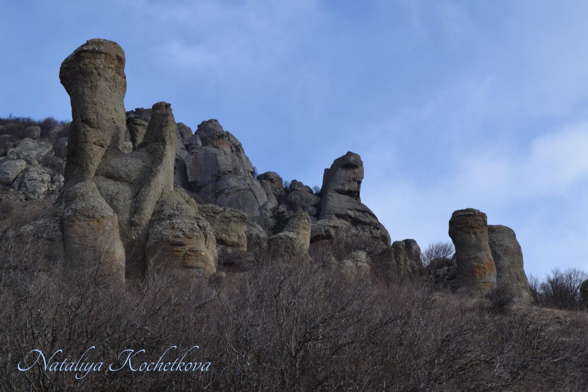 Природа Крыма - Amazing Cosmea