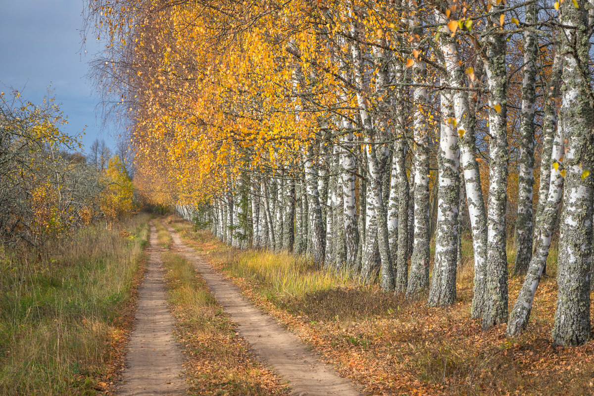 **** - Елизавета .