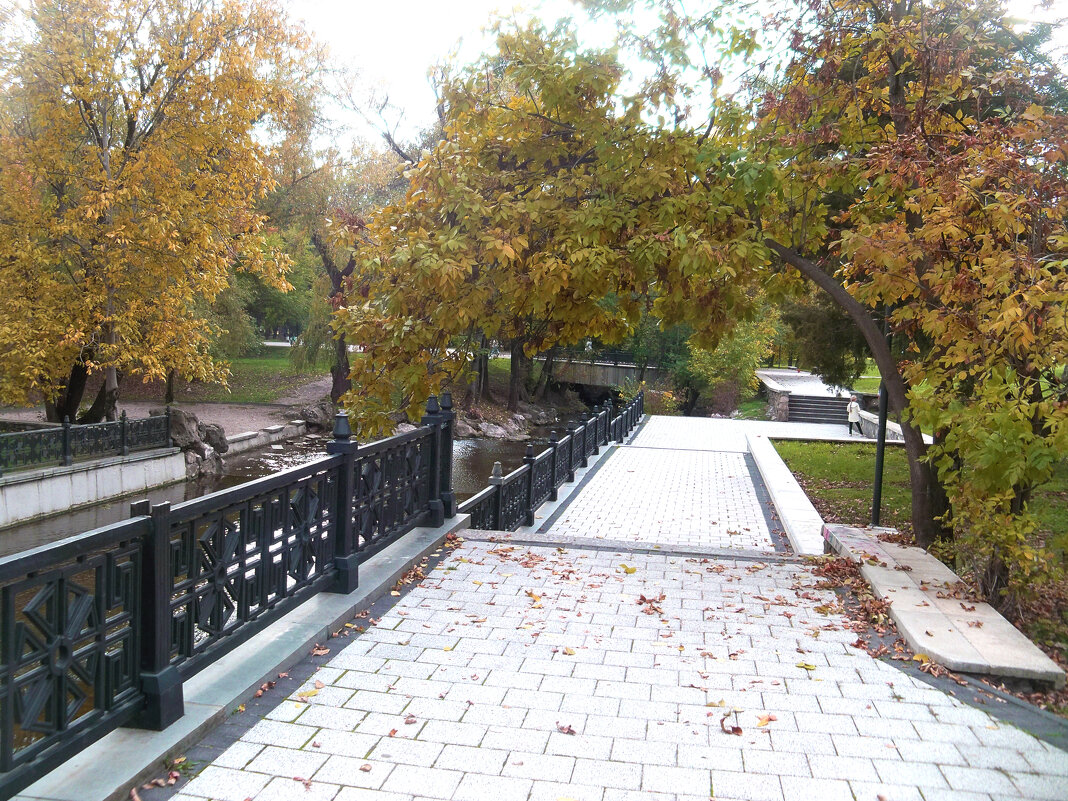 Осень золотая - Валентин Семчишин