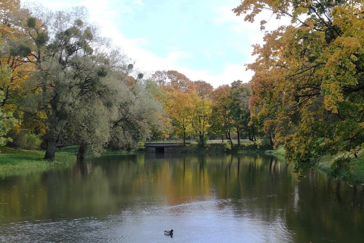 Городские зарисовки - Рита Симонова