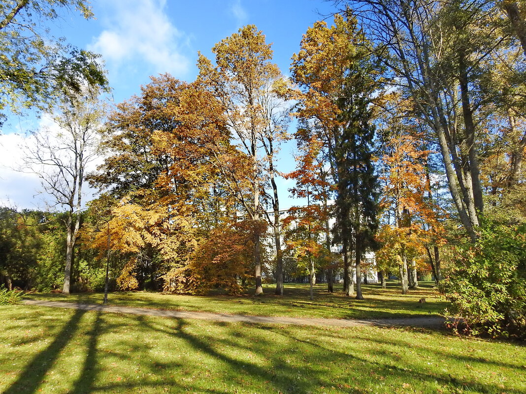 осень - ИННА ПОРОХОВА