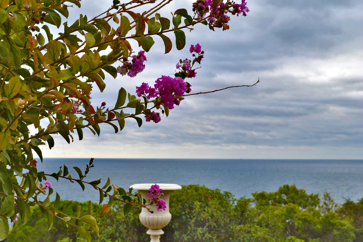 Ностальгия по морю - Ольга Ностальгия по морю - Ольга