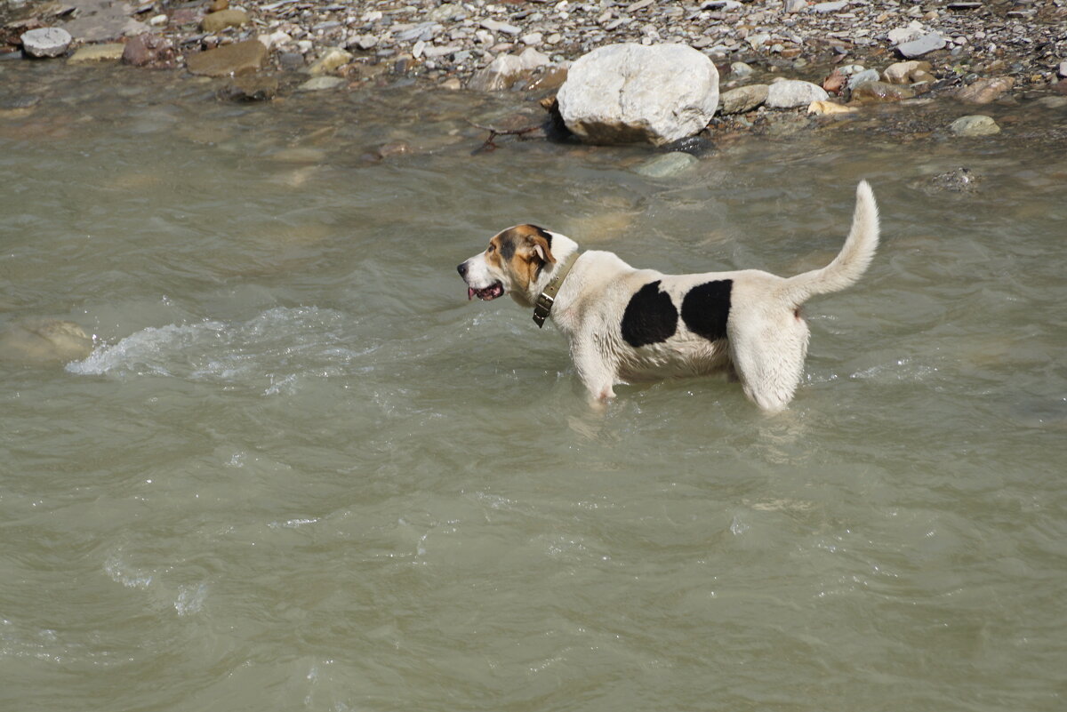 Спасение от жары - Наталия Григорьева