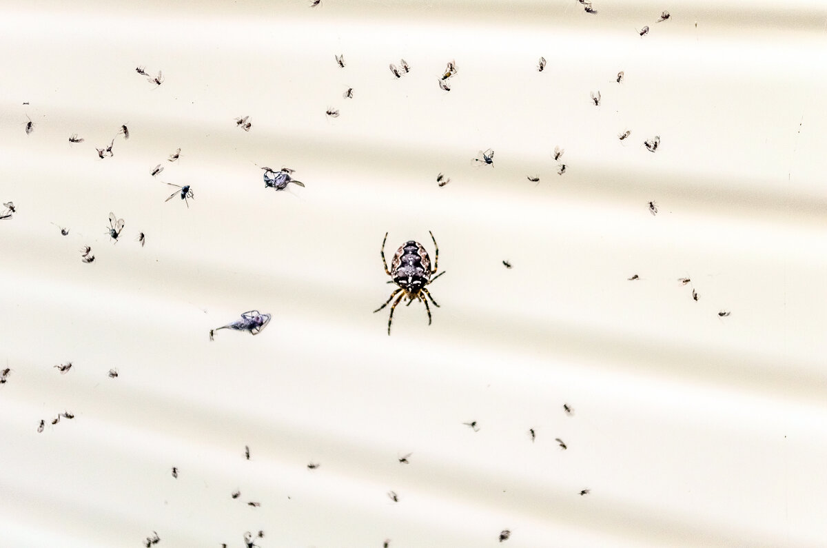 Хороший улов - Андрей Щетинин