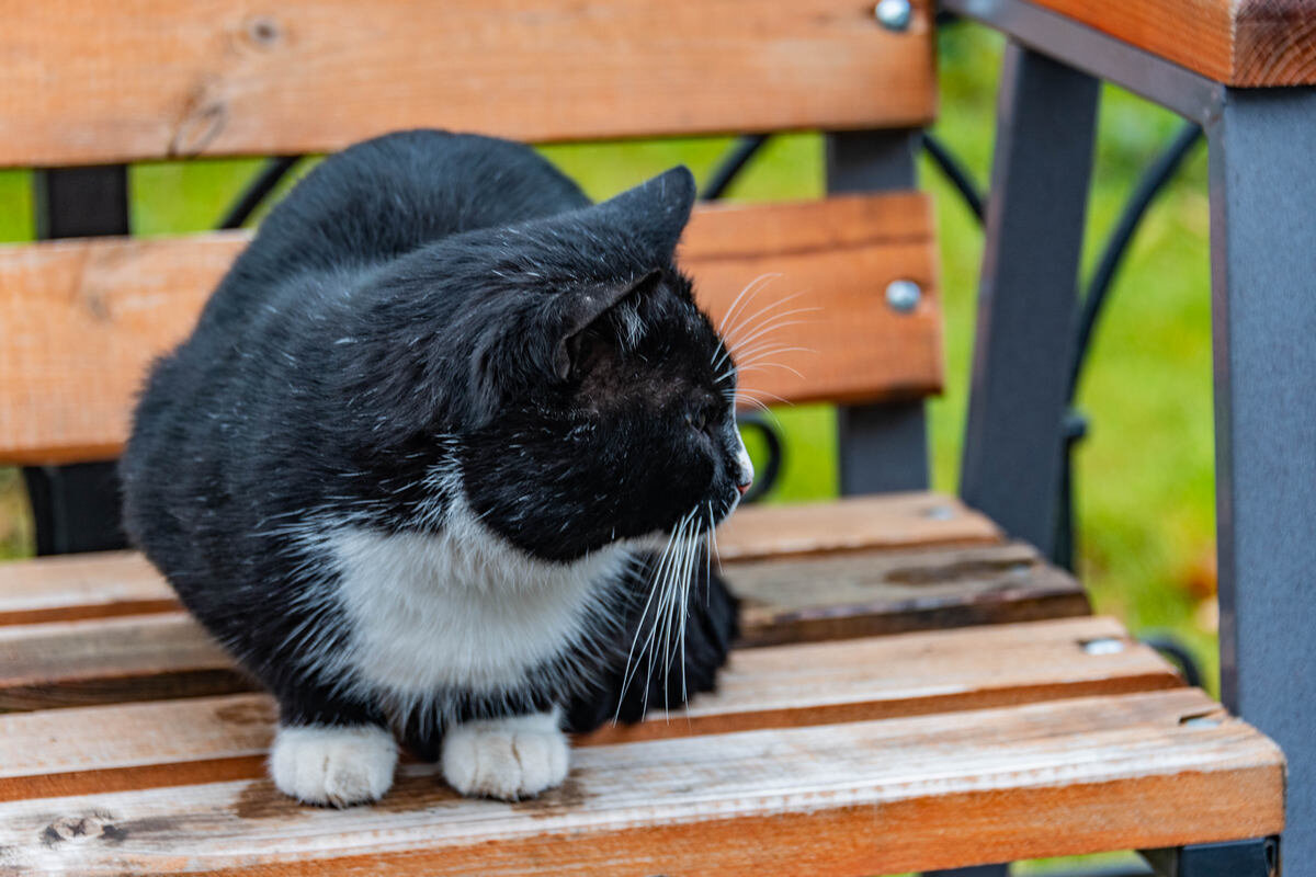 я устал и отдыхаю - Дмитрий Лупандин