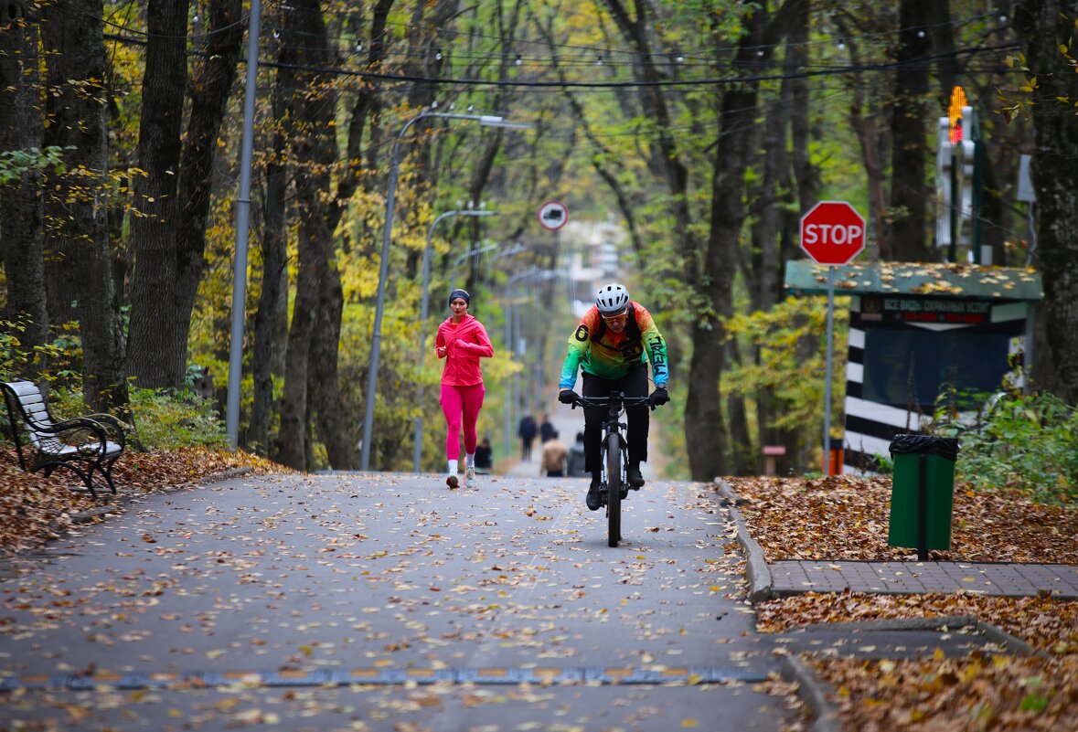 Осень в парке - Evgeny Mameev