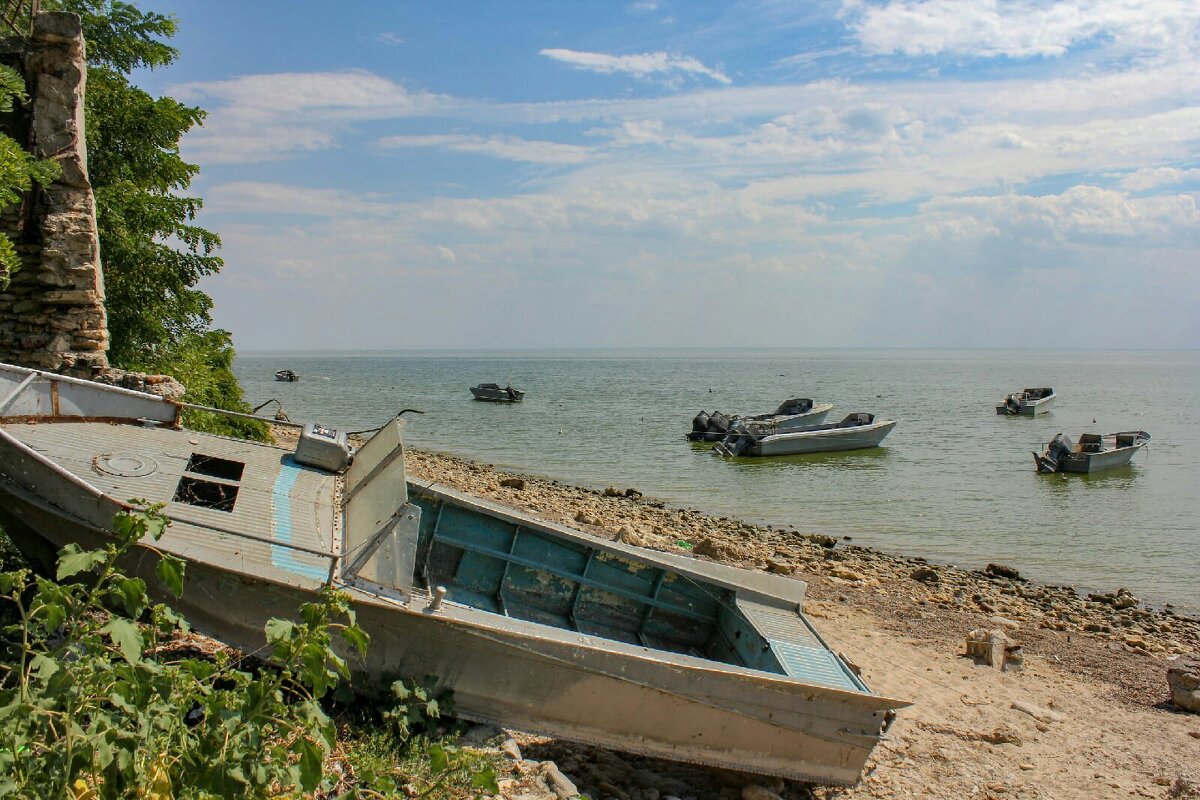 Бугудония - Оксана Новик 