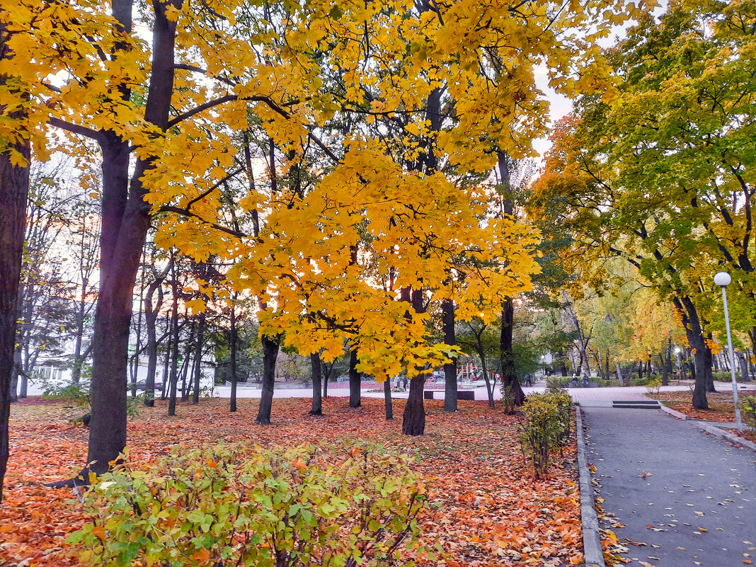 В осеннем парке - Irene Irene