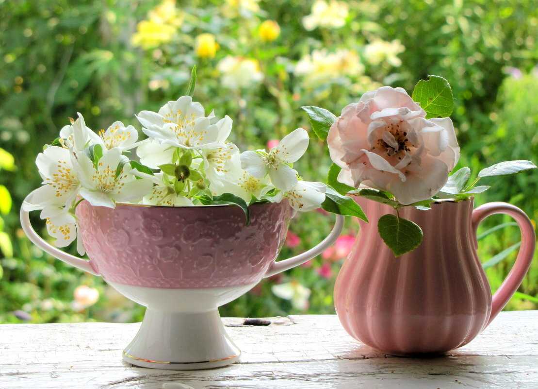 Натюрморт. - жанна нечаева