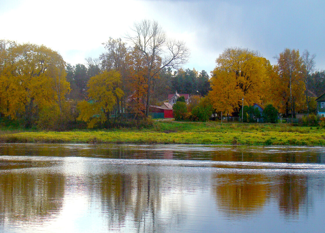 *** - gawrilа - dan