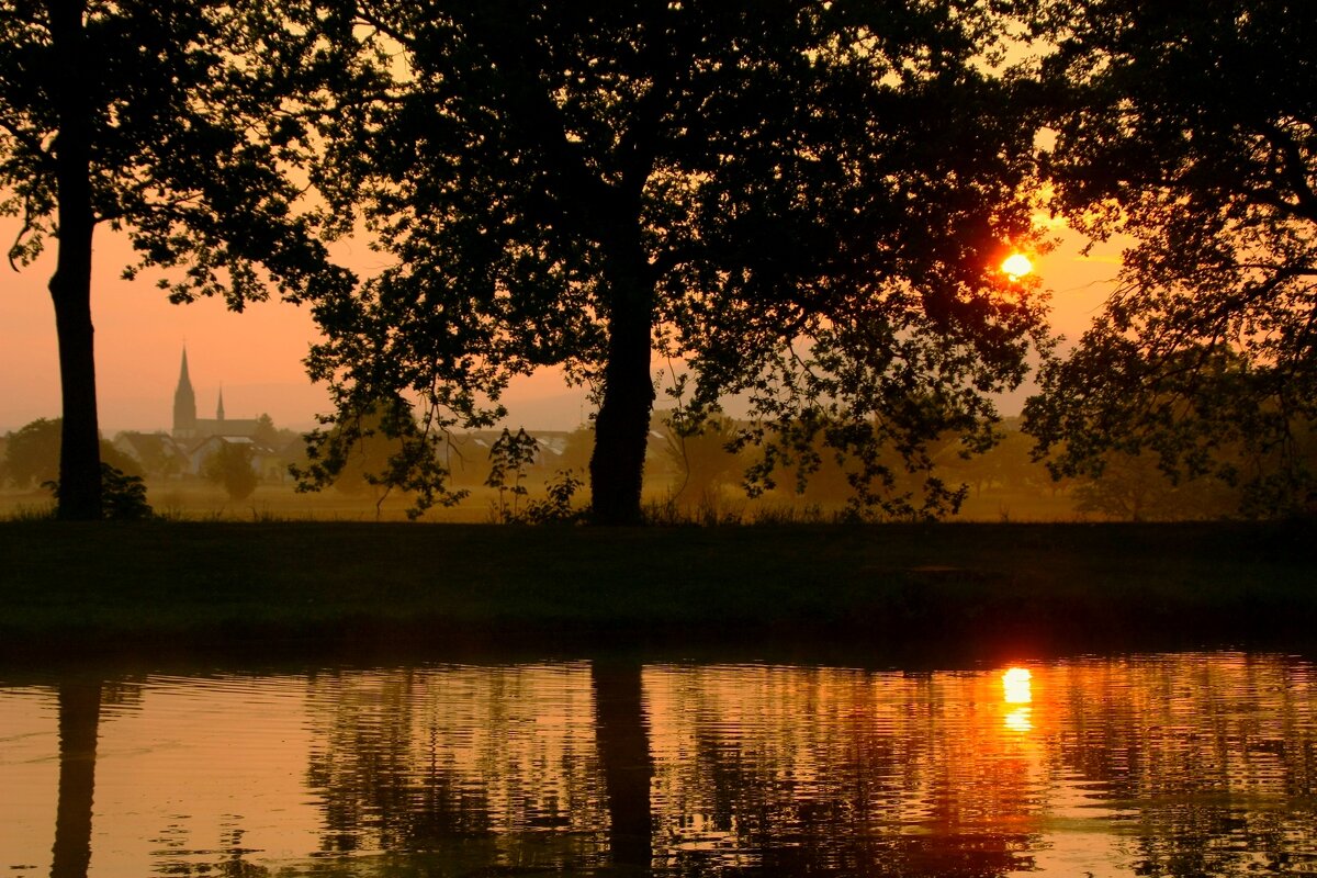 Утро - Юрий. Шмаков