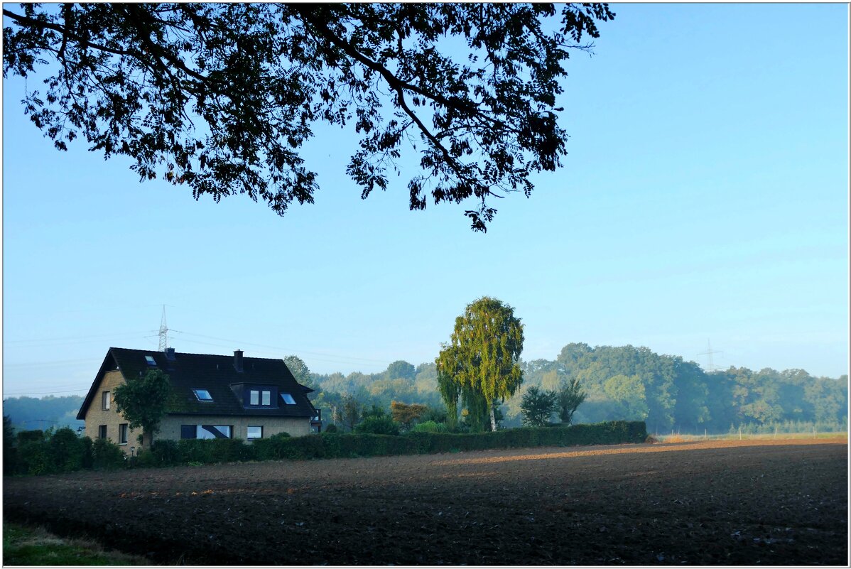 На КРАЮ ПОЛЯ... - Elvira E. 