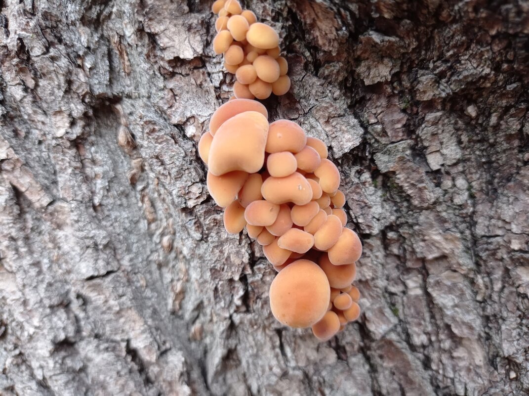 Скоро зима... - Александр Чеботарь