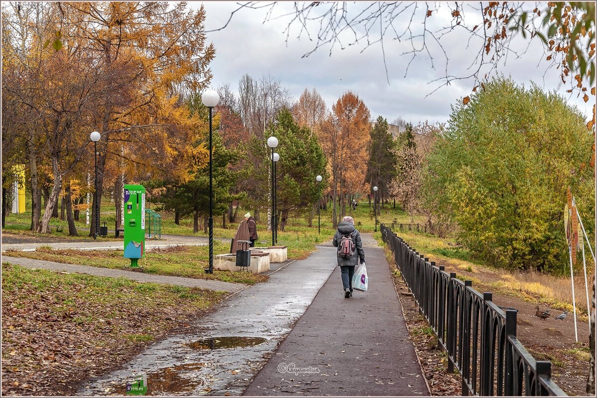 Поздняя осень... - Aquarius - Сергей