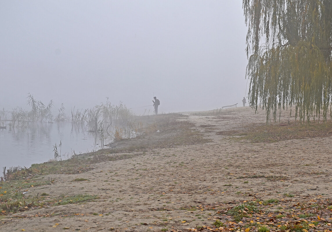 В городе - туман! - Валентина  Нефёдова 