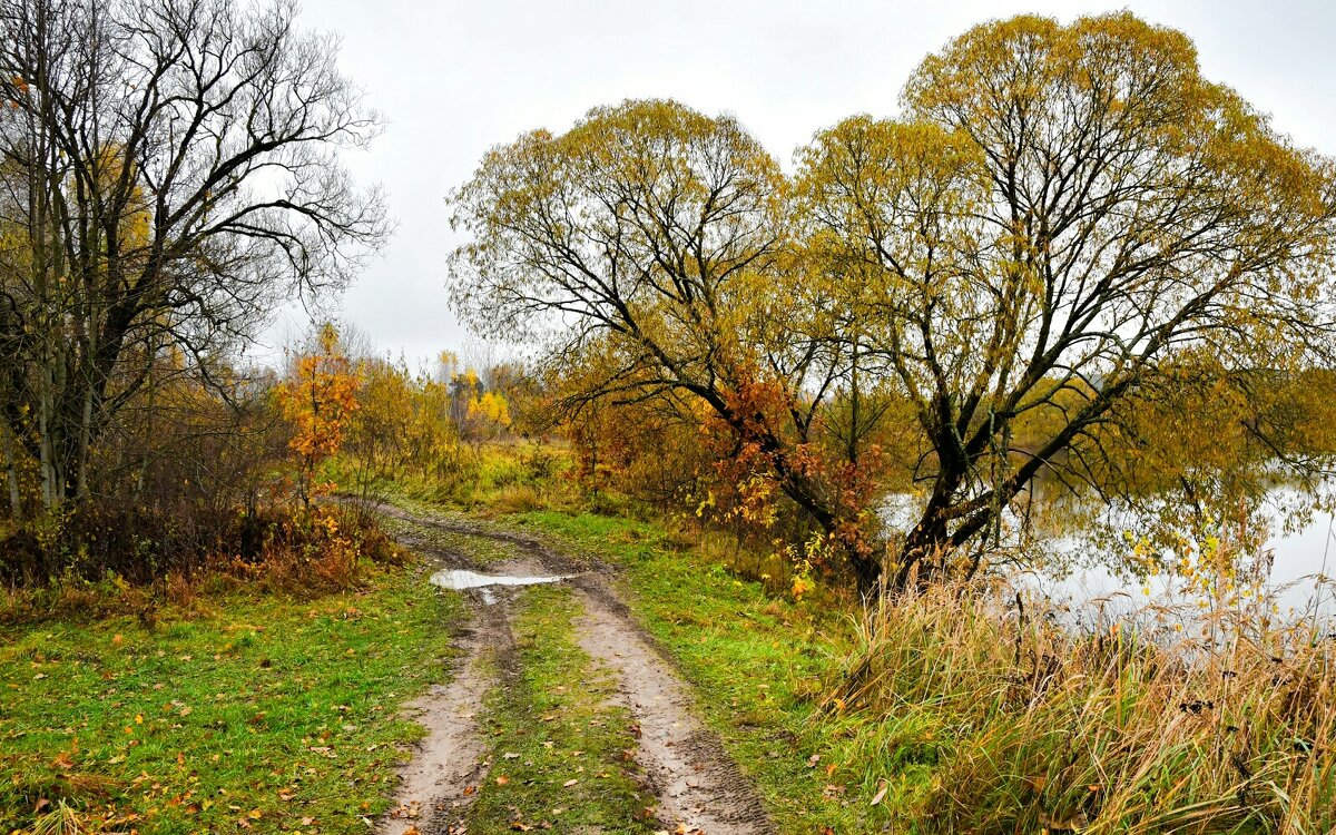 Дорога рыбаков. - Милешкин Владимир Алексеевич 