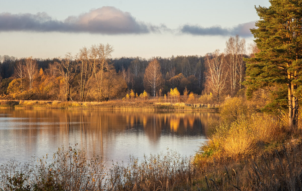 октябрьский вечер - Galina 