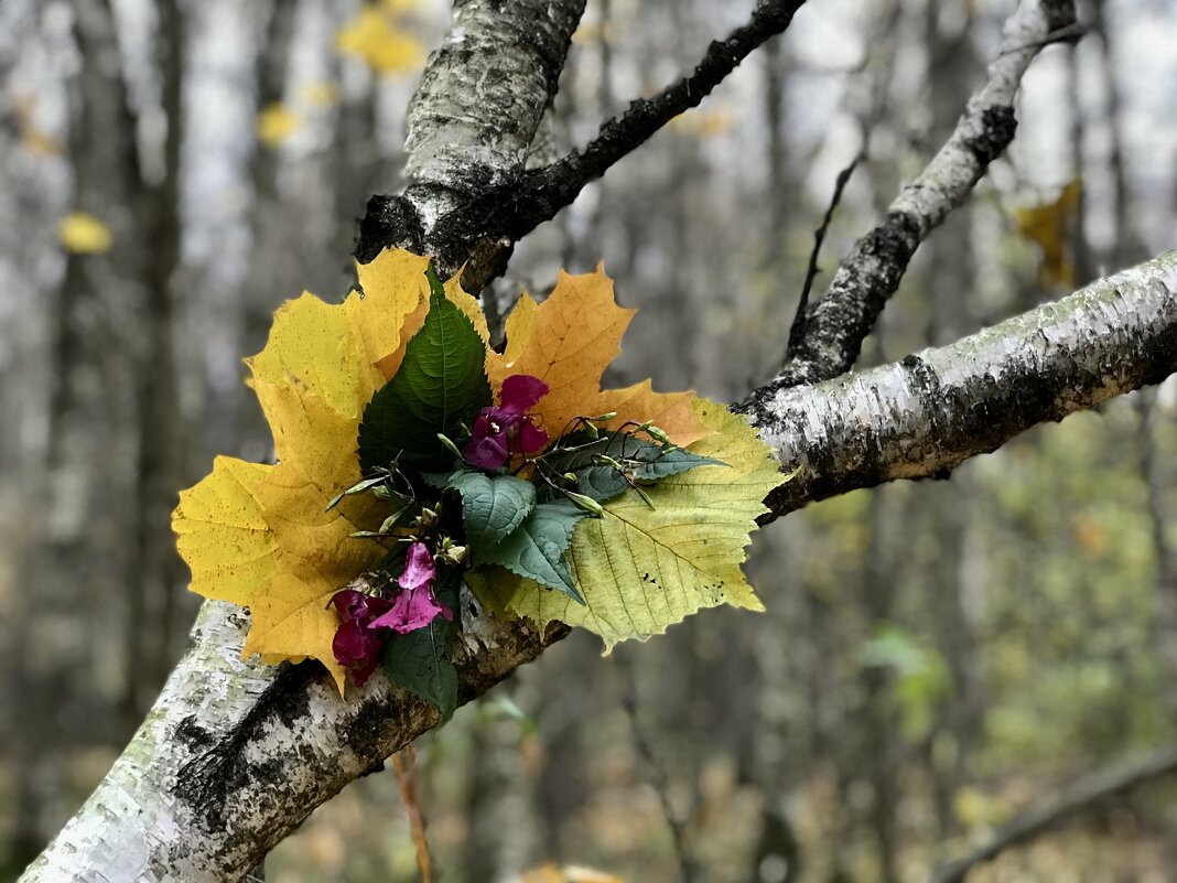Осенний букет. - Любовь 
