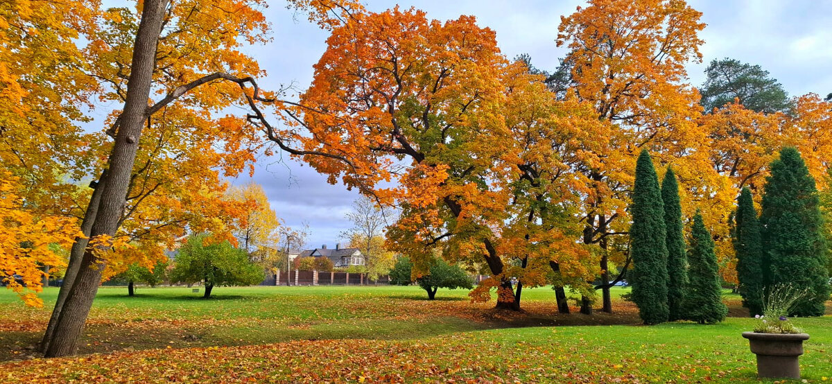 Золотая осень - Хватова Марина 