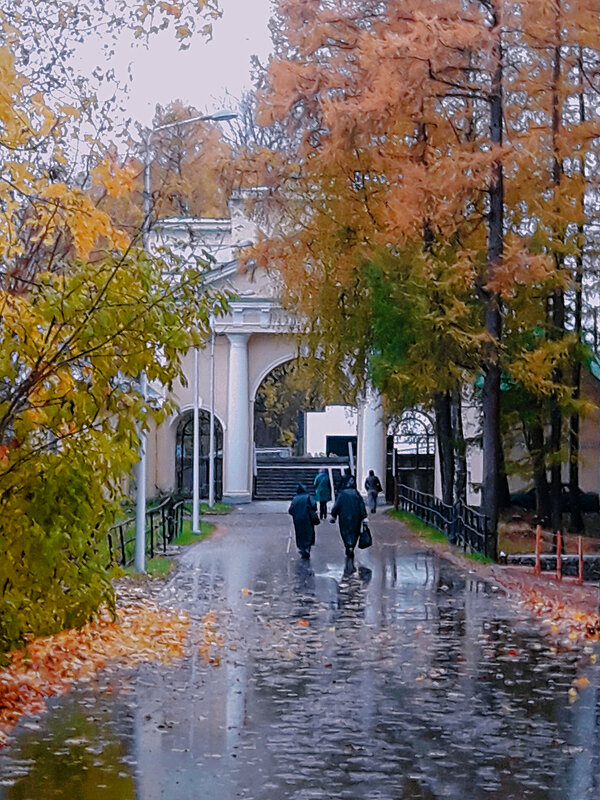 Дождлиаый осенний день - Сергей Кочнев