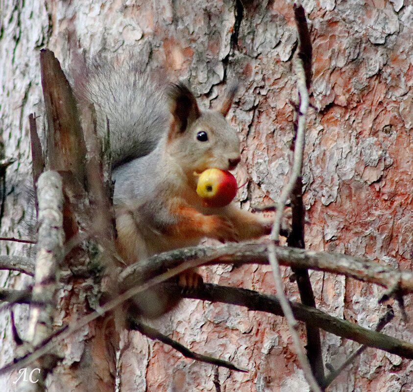 Вы так сможете? - Любовь Сахарова