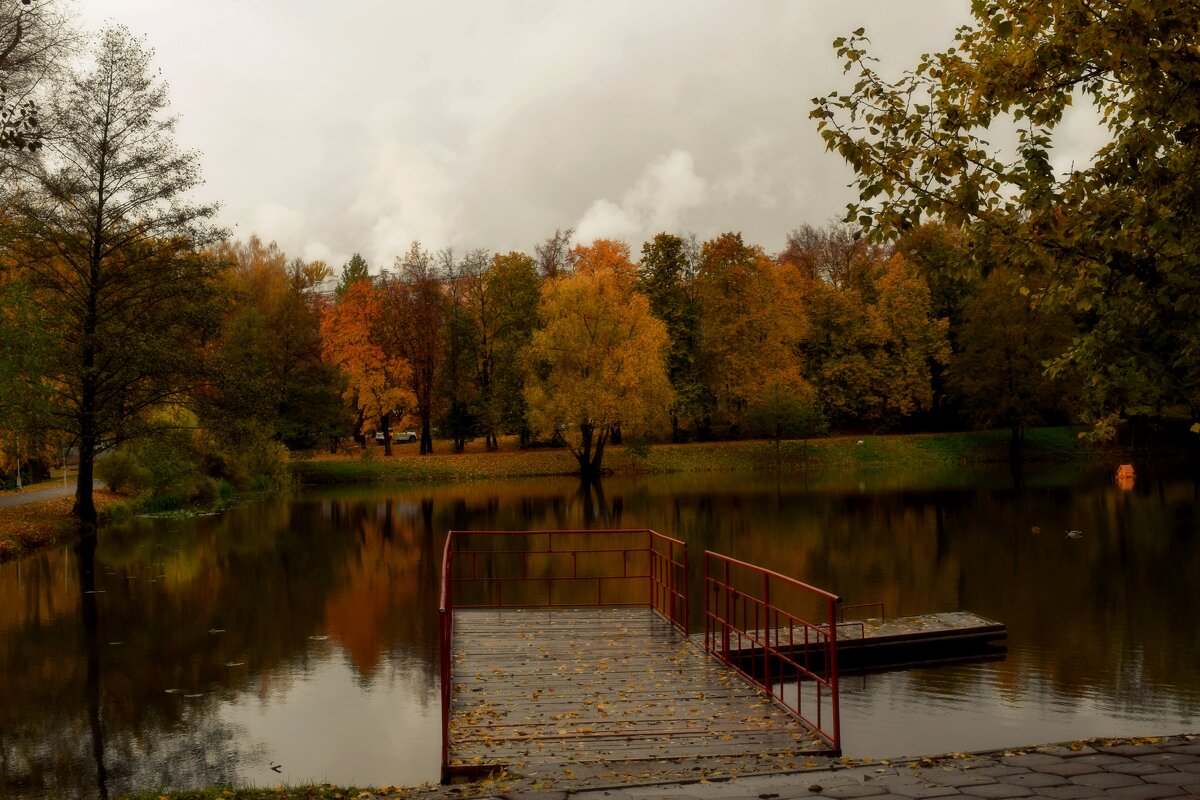 Тихо бродит уходящий Октябрь. - Татьяна Помогалова Тихо бродит уходящий Октябрь. - Татьяна Помогалова