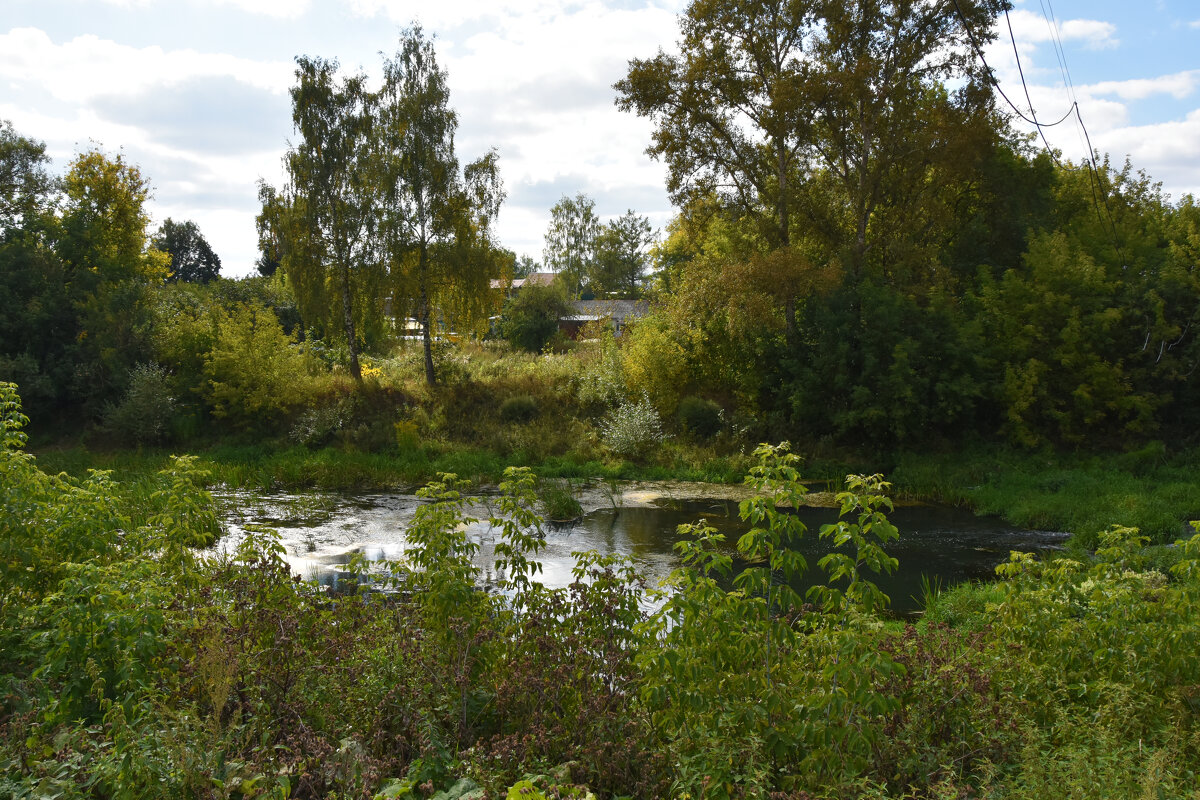 Владимирская область. Город Александров. Река Серая. - Наташа *****
