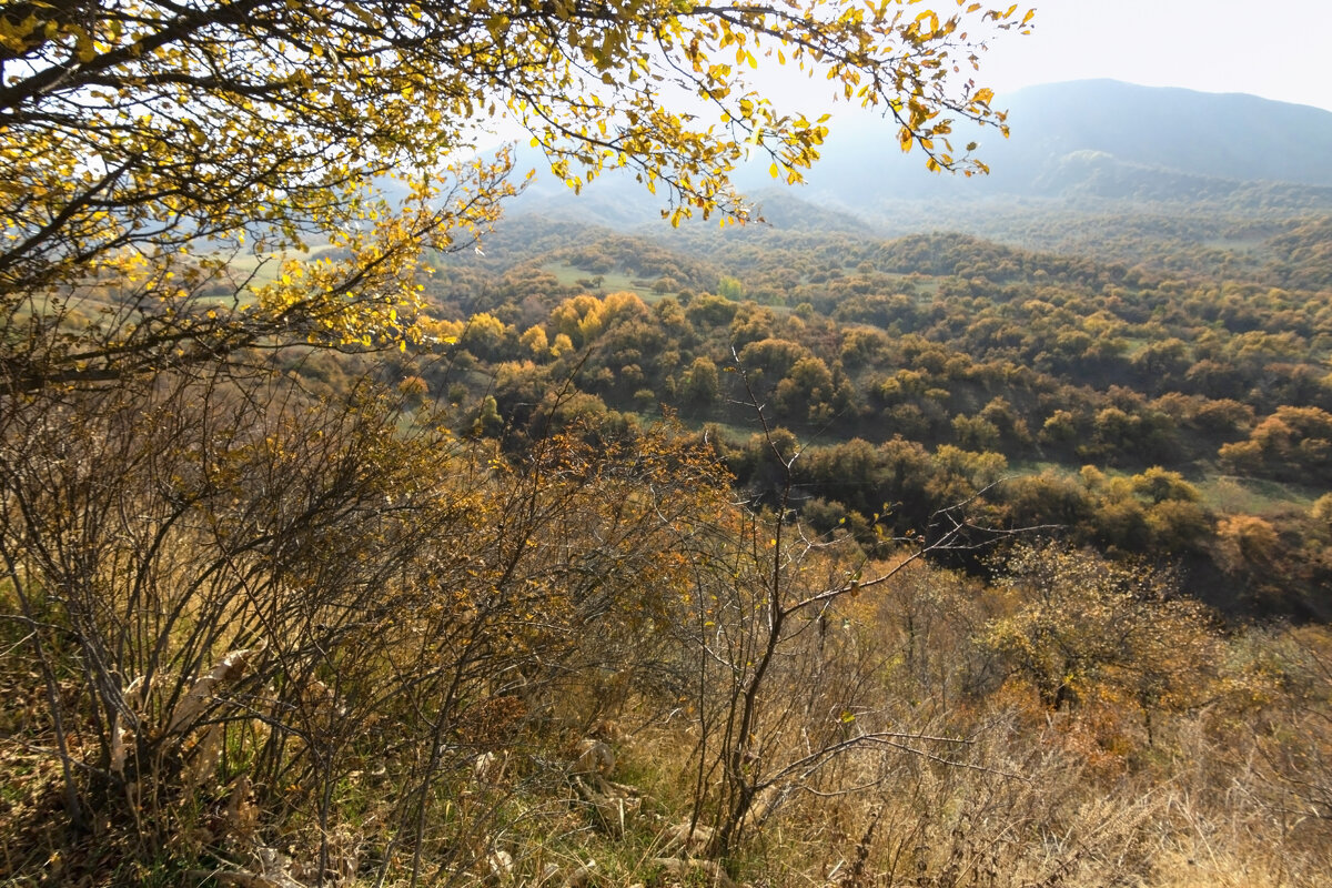 Горные луга - LudMila Горные луга - LudMila