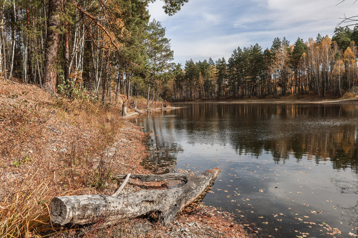 Осень - Владимир Новиков Осень - Владимир Новиков