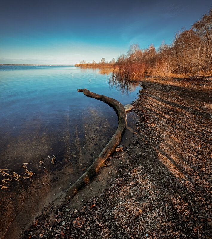 Осенний страж тишины. - Сергей Адигамов