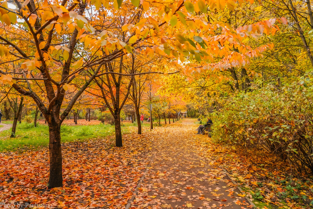 В осеннем парке... - Владимир Жданов В осеннем парке... - Владимир Жданов