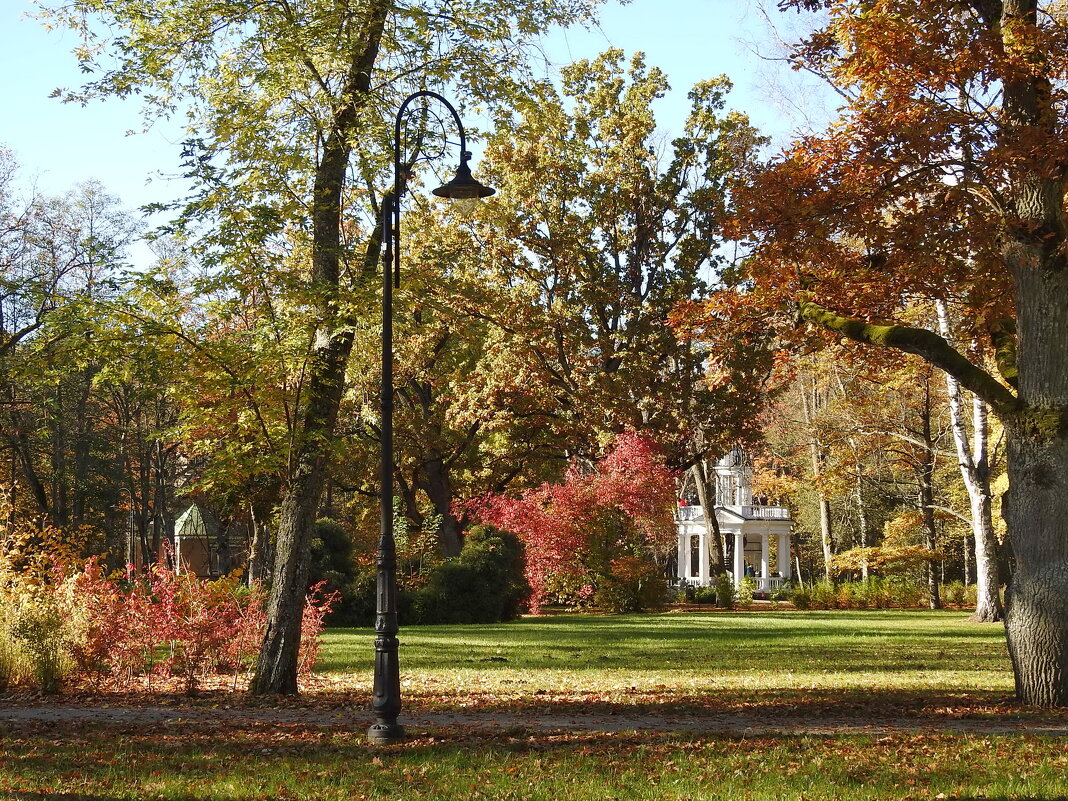 осень - ИННА ПОРОХОВА